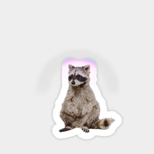 Rainbow Raccon Sticker